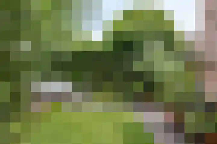 Nuwendoorn 63 Grootebroek thumbnail 31