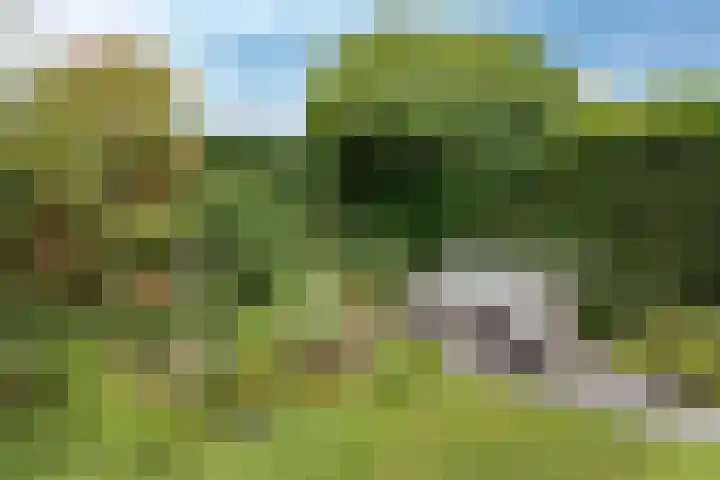 Nuwendoorn 63 Grootebroek thumbnail 32