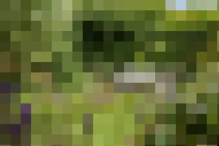 Nuwendoorn 63 Grootebroek thumbnail 36