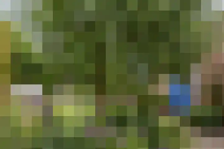 Nuwendoorn 63 Grootebroek thumbnail 37
