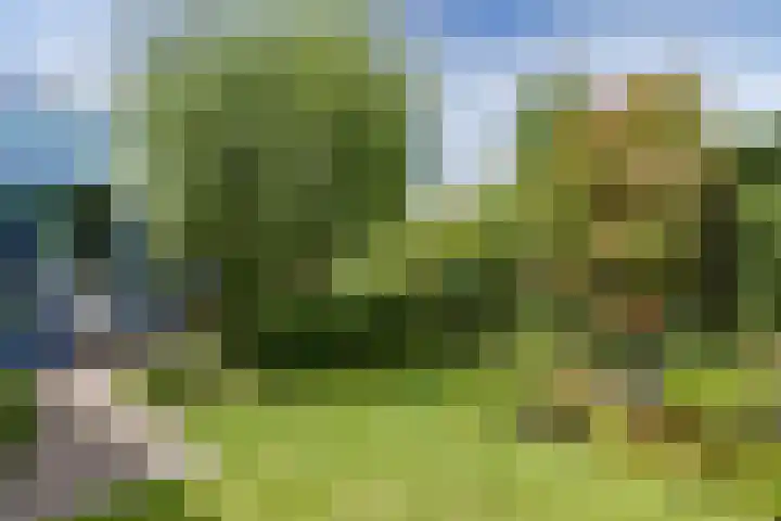 Nuwendoorn 63 Grootebroek thumbnail 38
