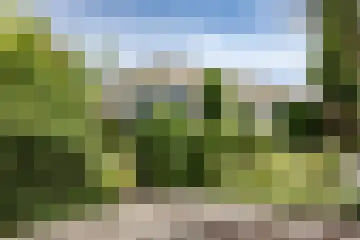 Nuwendoorn 63 Grootebroek thumbnail 39