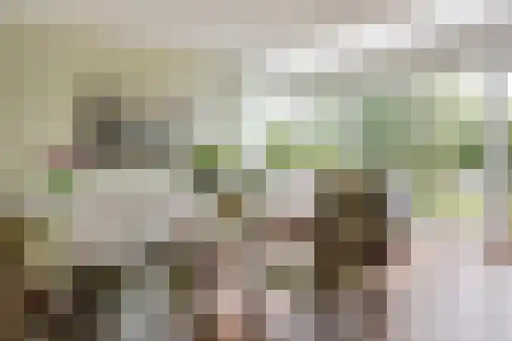 Nuwendoorn 63 Grootebroek thumbnail 4