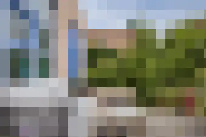 Nuwendoorn 63 Grootebroek thumbnail 40