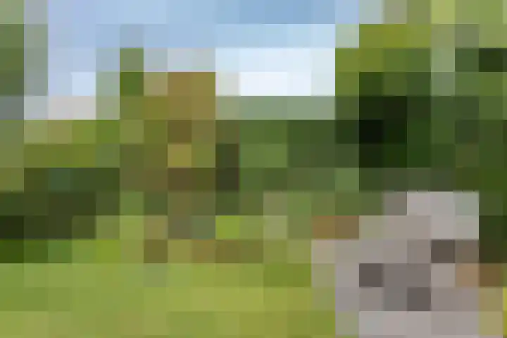 Nuwendoorn 63 Grootebroek thumbnail 41