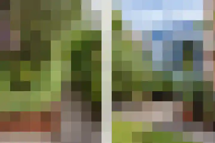 Nuwendoorn 63 Grootebroek thumbnail 43