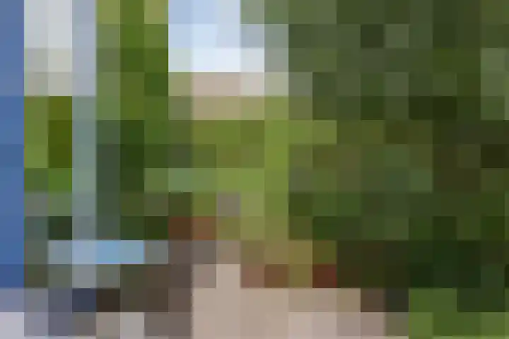 Nuwendoorn 63 Grootebroek thumbnail 44