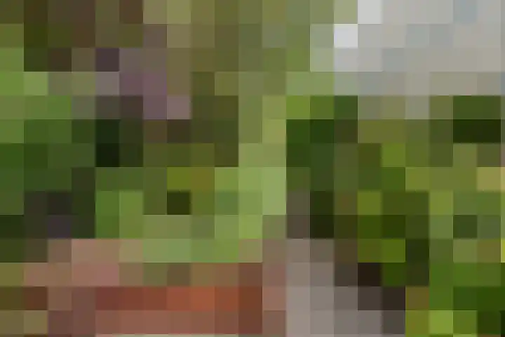 Nuwendoorn 63 Grootebroek thumbnail 47