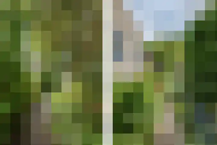 Nuwendoorn 63 Grootebroek thumbnail 48