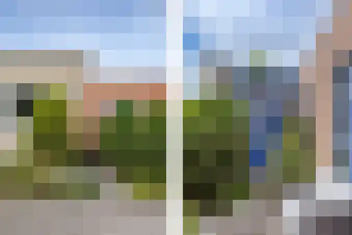 Nuwendoorn 63 Grootebroek thumbnail 49