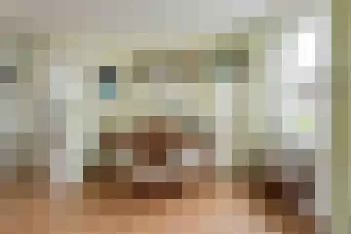 Nuwendoorn 63 Grootebroek thumbnail 8