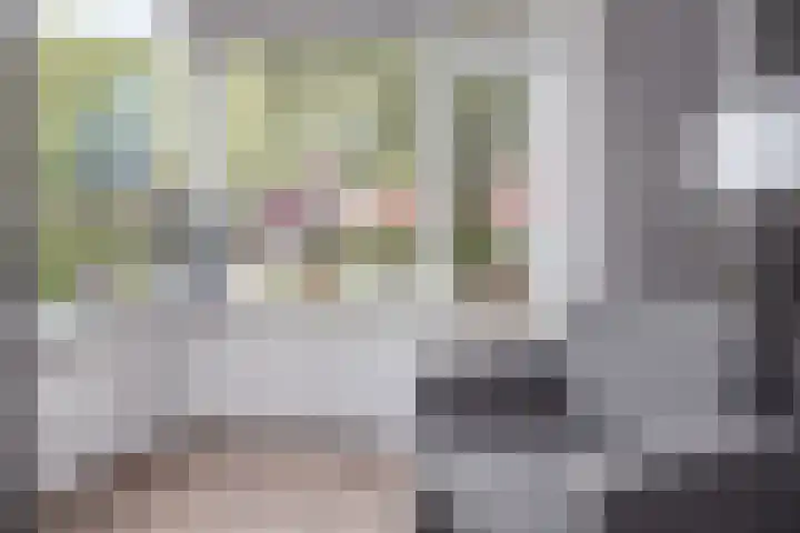 Nuwendoorn 64 Grootebroek thumbnail 10