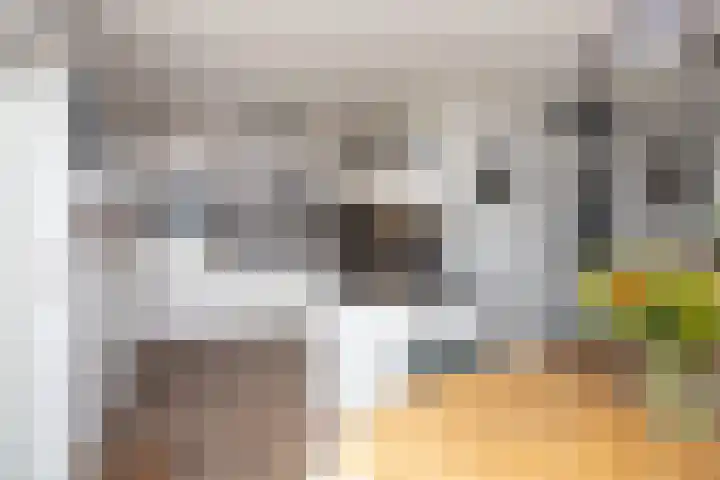 Nuwendoorn 64 Grootebroek thumbnail 12