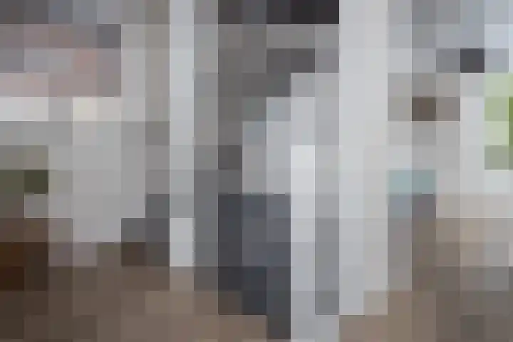 Nuwendoorn 64 Grootebroek thumbnail 16