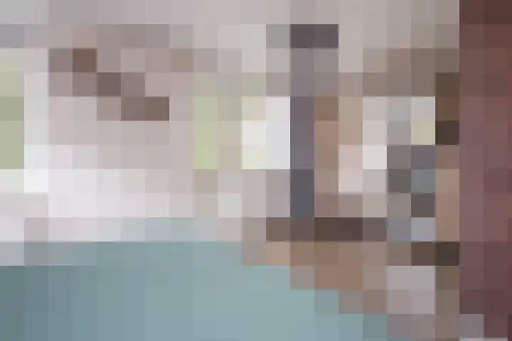 Nuwendoorn 64 Grootebroek thumbnail 17