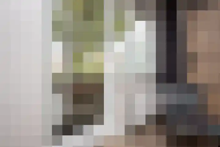 Nuwendoorn 64 Grootebroek thumbnail 19