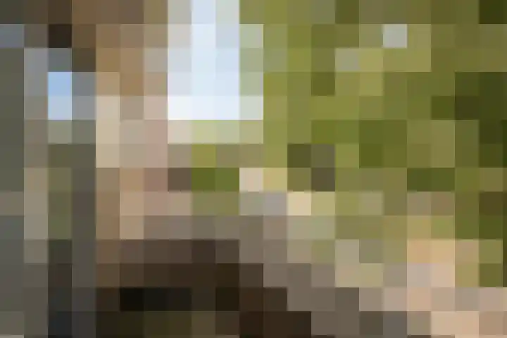 Nuwendoorn 64 Grootebroek thumbnail 20