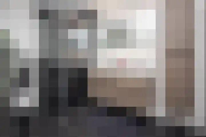 Nuwendoorn 64 Grootebroek thumbnail 21