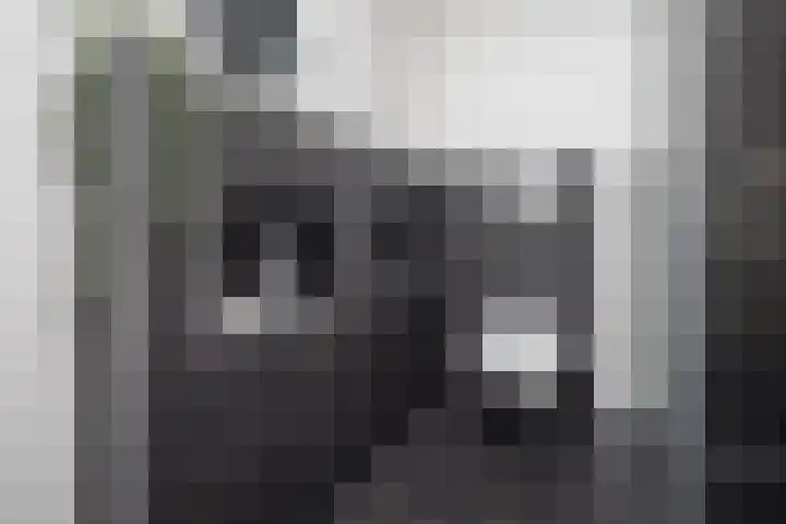 Nuwendoorn 64 Grootebroek thumbnail 23