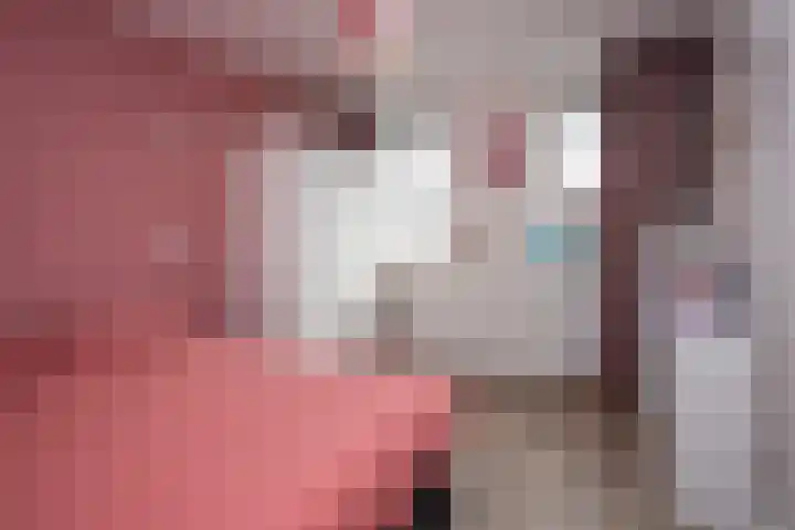 Nuwendoorn 64 Grootebroek thumbnail 24