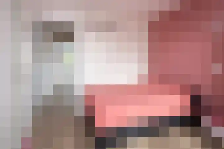 Nuwendoorn 64 Grootebroek thumbnail 25