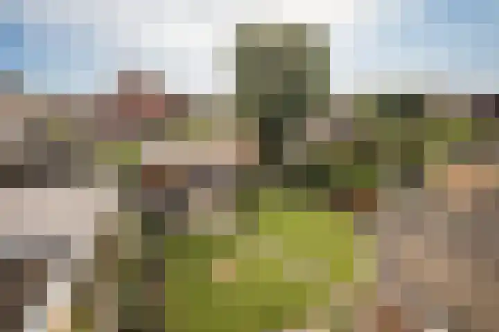 Nuwendoorn 64 Grootebroek thumbnail 26