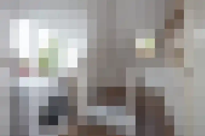 Nuwendoorn 64 Grootebroek thumbnail 30