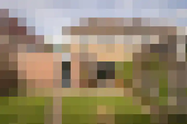Nuwendoorn 64 Grootebroek thumbnail 33