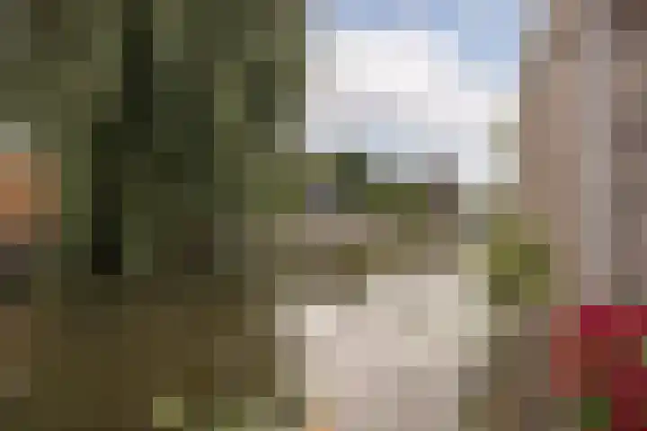 Nuwendoorn 64 Grootebroek thumbnail 37