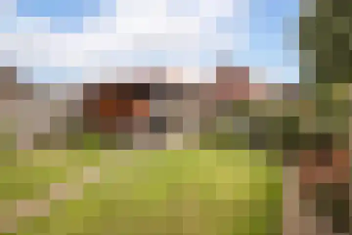 Nuwendoorn 64 Grootebroek thumbnail 39