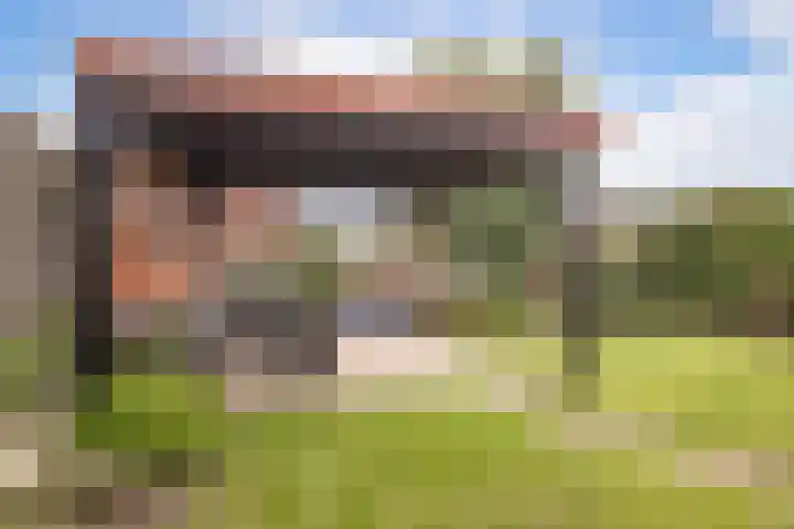 Nuwendoorn 64 Grootebroek thumbnail 40