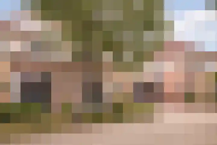 Nuwendoorn 64 Grootebroek thumbnail 41