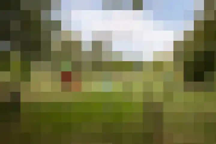 Nuwendoorn 64 Grootebroek thumbnail 43