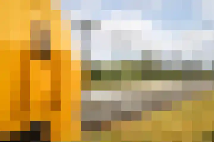 Nuwendoorn 64 Grootebroek thumbnail 44