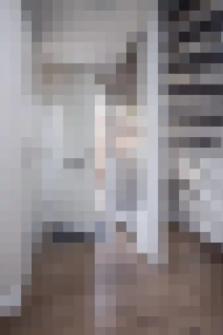 Nuwendoorn 64 Grootebroek thumbnail 49