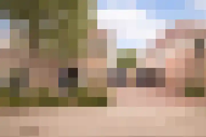 Nuwendoorn 64 Grootebroek thumbnail 5