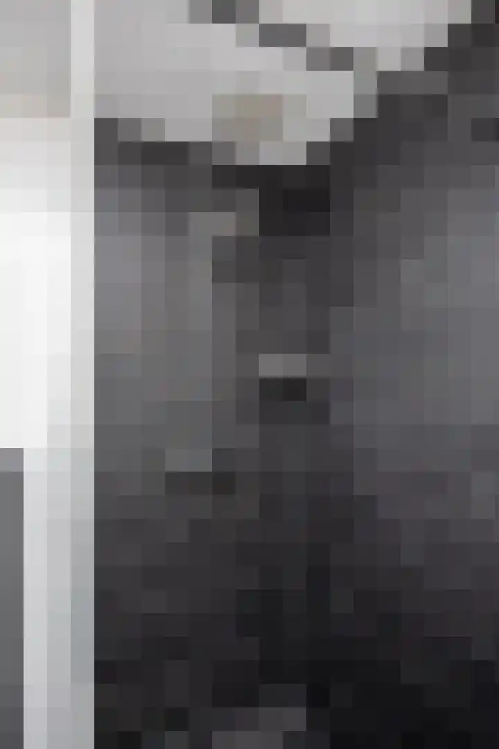 Nuwendoorn 64 Grootebroek thumbnail 52