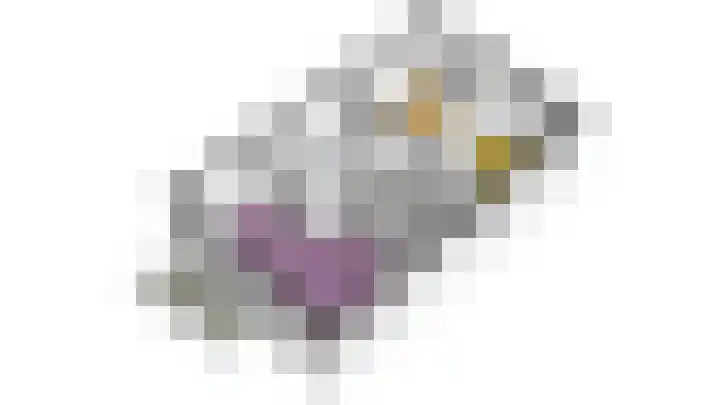 Nuwendoorn 64 Grootebroek thumbnail 58