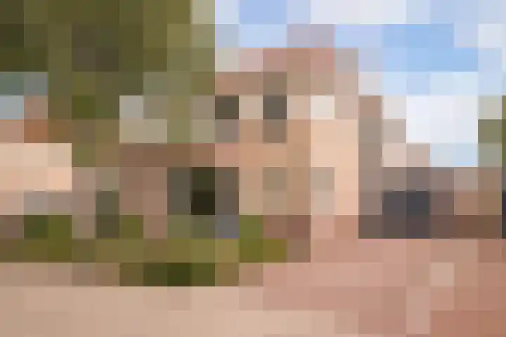 Nuwendoorn 64 Grootebroek thumbnail 61