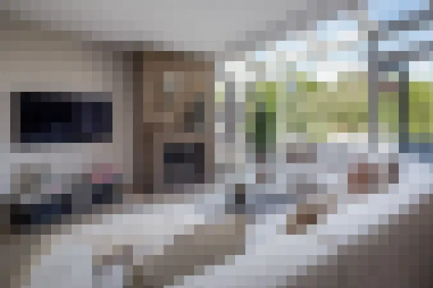 Nuwendoorn 71 Grootebroek thumbnail 10