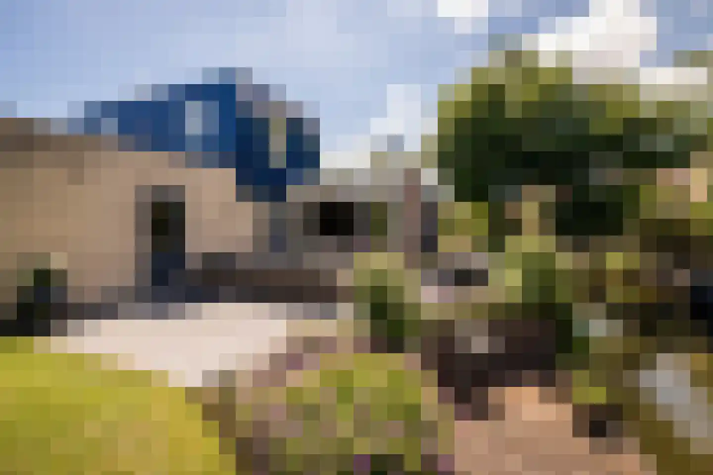 Nuwendoorn 71 Grootebroek thumbnail 32