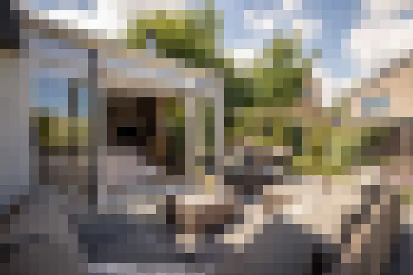 Nuwendoorn 71 Grootebroek thumbnail 33