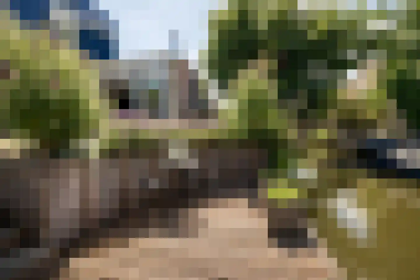 Nuwendoorn 71 Grootebroek thumbnail 35