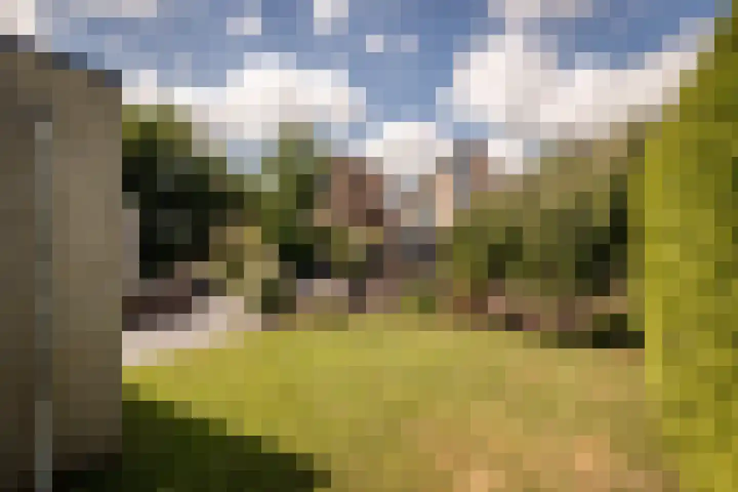Nuwendoorn 71 Grootebroek thumbnail 37
