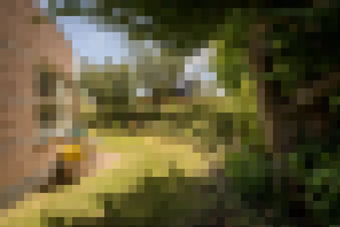 Nuwendoorn 71 Grootebroek thumbnail 39