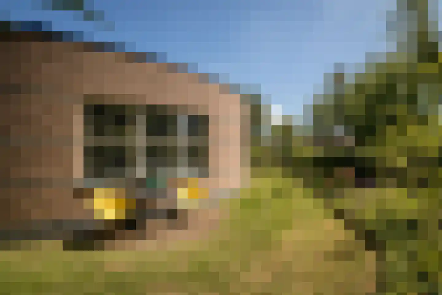 Nuwendoorn 71 Grootebroek thumbnail 40