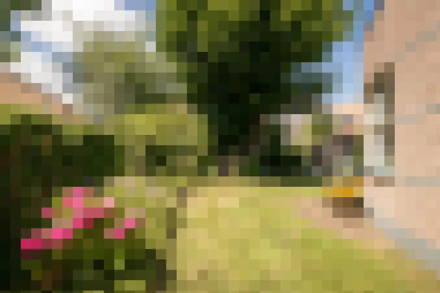 Nuwendoorn 71 Grootebroek thumbnail 41