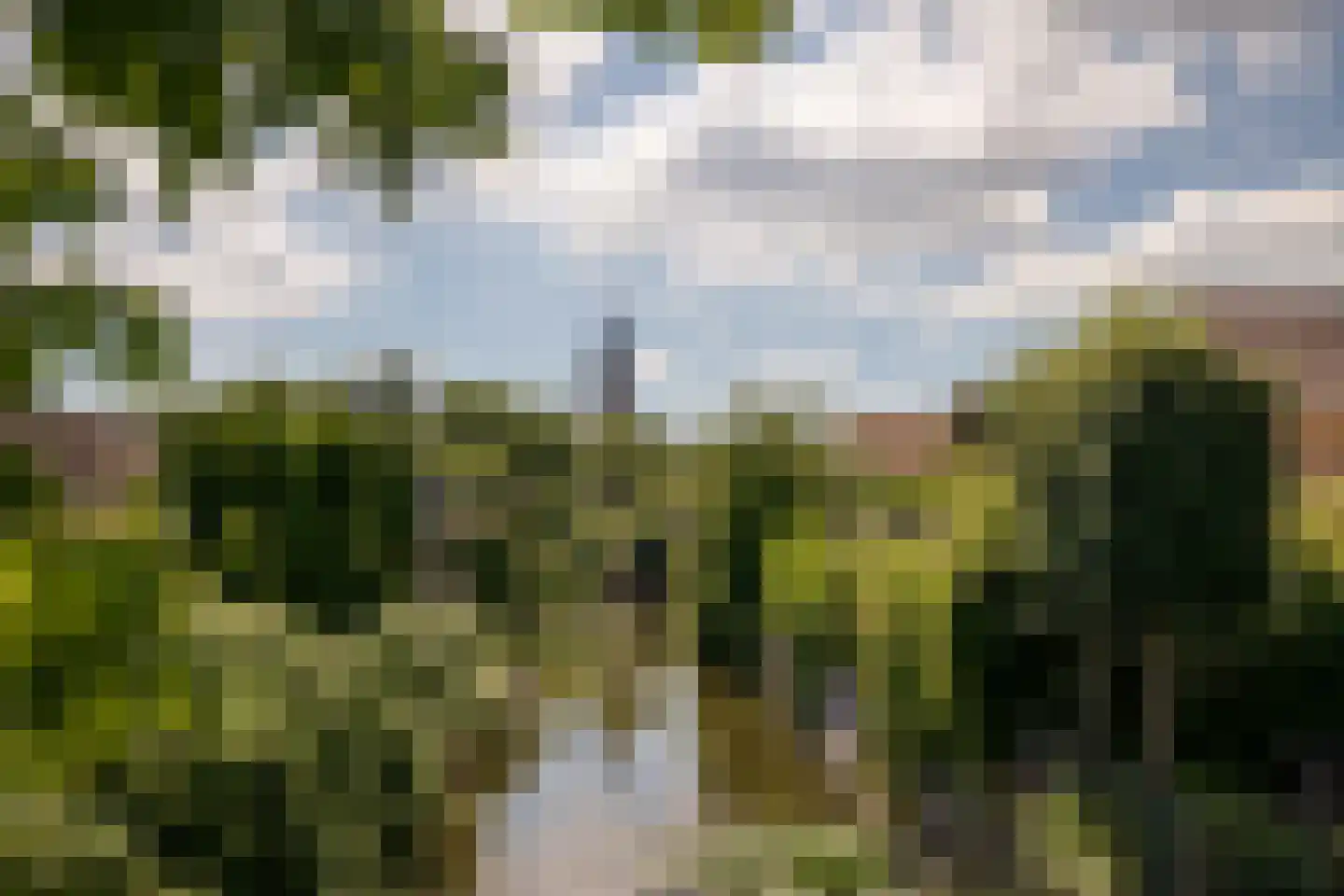 Nuwendoorn 71 Grootebroek thumbnail 47
