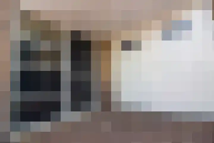 Nuwendoorn 72 Grootebroek thumbnail 10