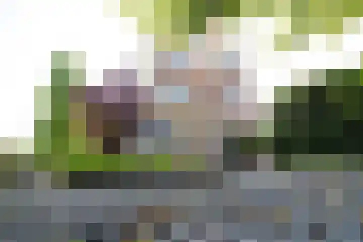 Nuwendoorn 72 Grootebroek thumbnail 4